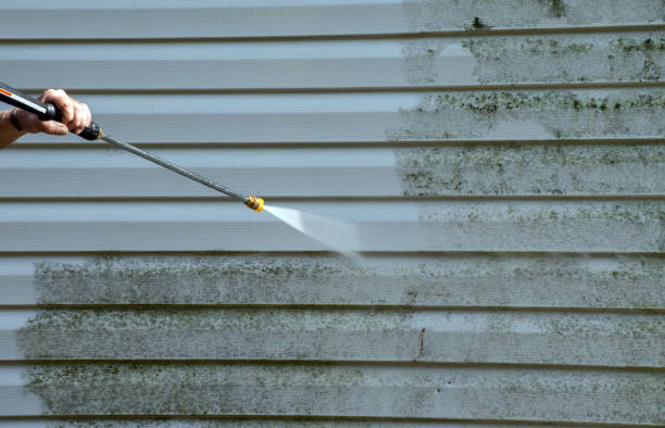 Best Mold Inspection  in Sidney, IL