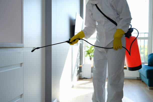 Best Mold Remediation  in Sidney, IL