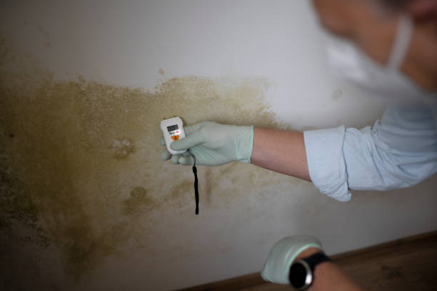 Water Damage Restoration in Sidney, IL