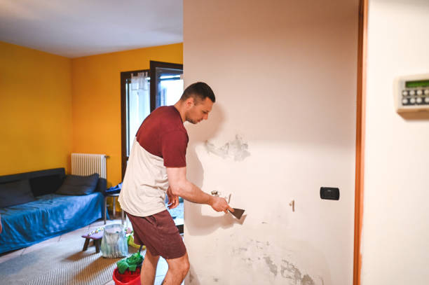 Best Residential Mold Removal  in Sidney, IL