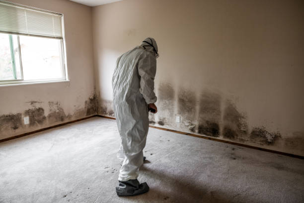 Best Mold Testing  in Sidney, IL