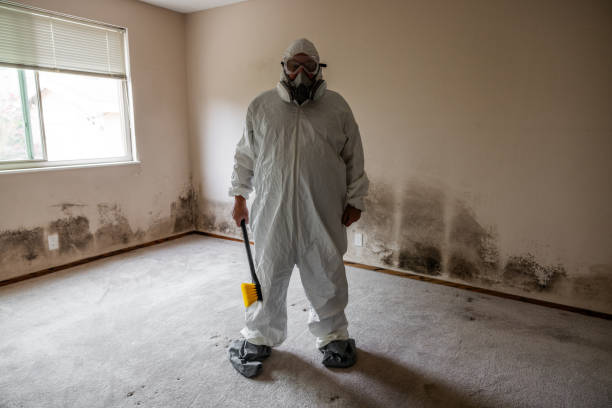 Best Office Mold Removal Services  in Sidney, IL